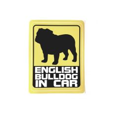 ENGLISH BULLDOG IN CAR