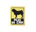 PUG IN CAR