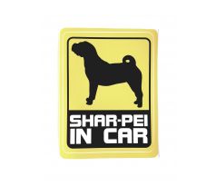 SHAR-PEI IN CAR